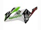 Honda CBR1000RR Motorrad Verkleidung 2004-2005 - Weiss Grun Glanzendes Schwarz Hannspree 52