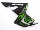 Kawasaki ZX10R Motorrad Verkleidung 2004-2005 - Schwarz mit Gruner Flamme Ninja