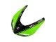 Kawasaki ZX10R Motorrad Verkleidung 2006-2007 - Grun Schwarz Elf Touch4 3M