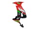 Kawasaki ZX10R Motorrad Verkleidung 2008-2010 - Rot Grun Schwarz