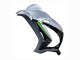 Kawasaki ZX10R Motorrad Verkleidung 2016-2020 - Silber Grun Schwarz