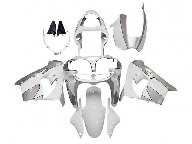Kawasaki ZX9R Motorrad Verkleidung 2002-2003 - Weiss Silber